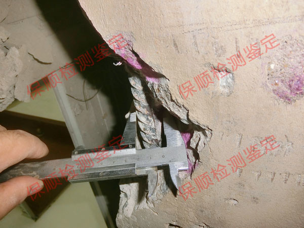 房屋構(gòu)件配筋檢測(cè) 房屋構(gòu)件配筋檢測(cè)